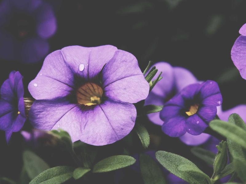 sudoku elimination method