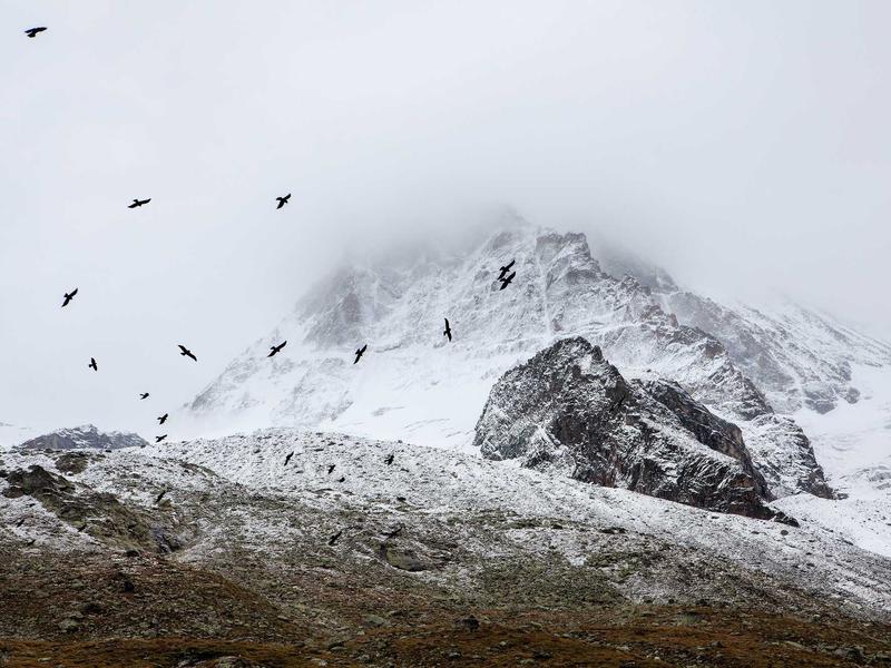 sudoku techniques screenshot 5